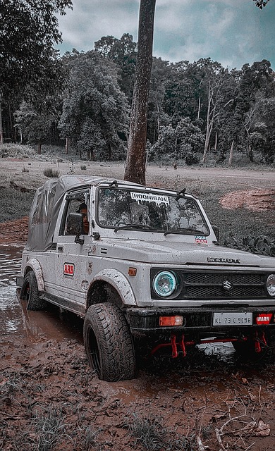 的动力和突 的动力和突